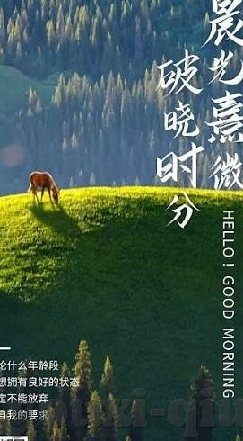 9月30足球比分-9月30日足球比分，绿茵场上的激情与悬念交响曲